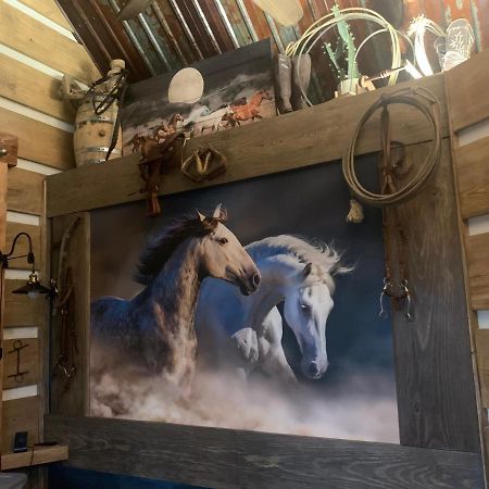 Fox Pass Cabins Bed and Breakfast Χοτ Σπρινγκς Εξωτερικό φωτογραφία
