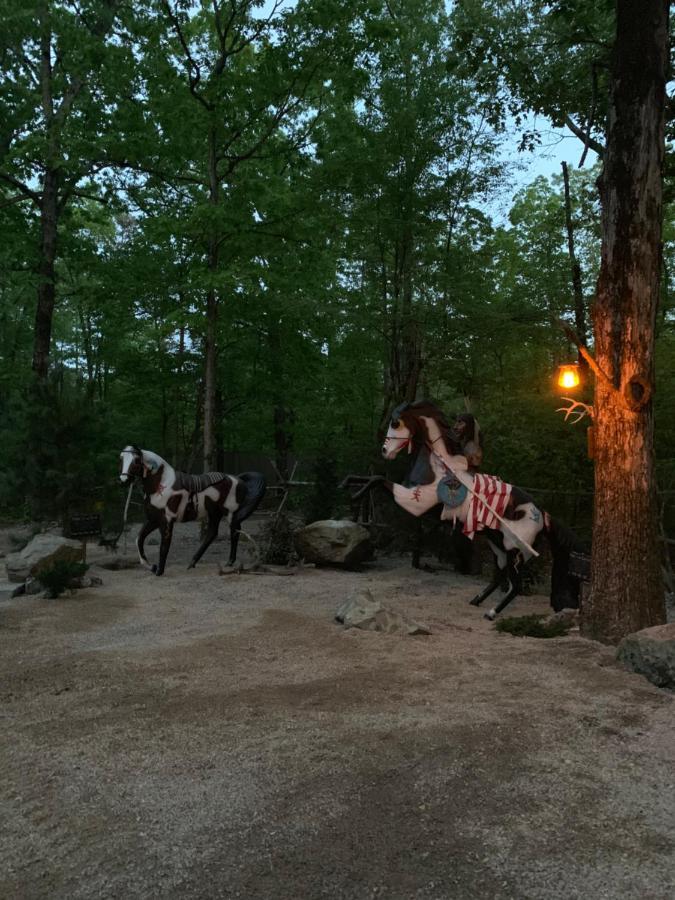 Fox Pass Cabins Bed and Breakfast Χοτ Σπρινγκς Εξωτερικό φωτογραφία