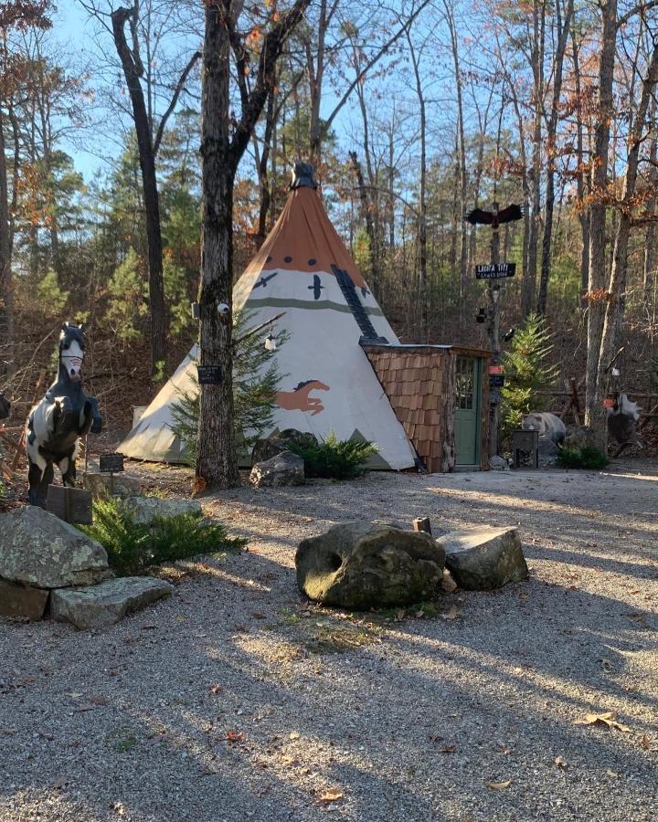 Fox Pass Cabins Bed and Breakfast Χοτ Σπρινγκς Εξωτερικό φωτογραφία