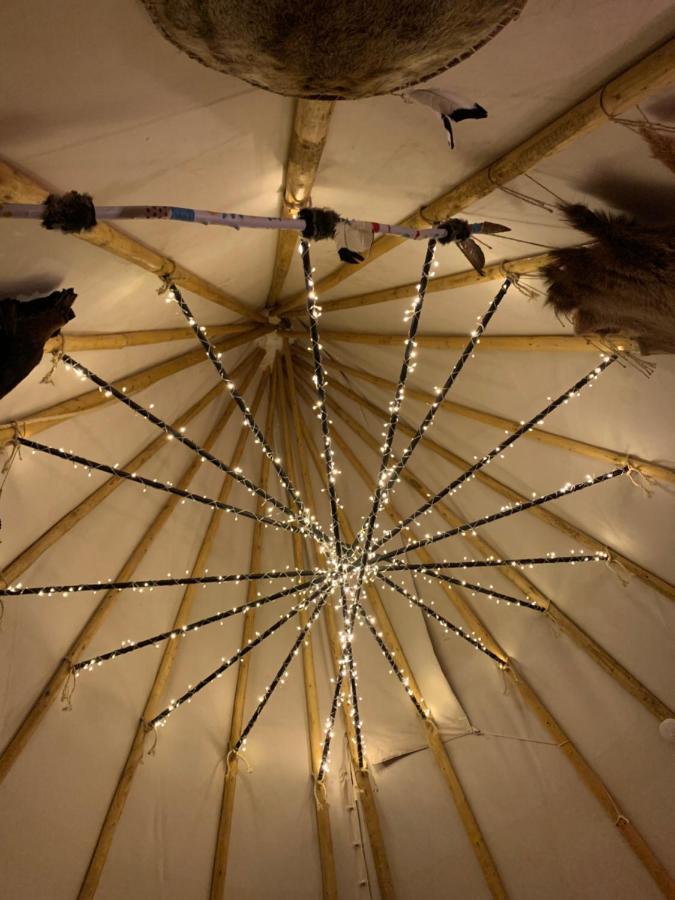 Fox Pass Cabins Bed and Breakfast Χοτ Σπρινγκς Εξωτερικό φωτογραφία