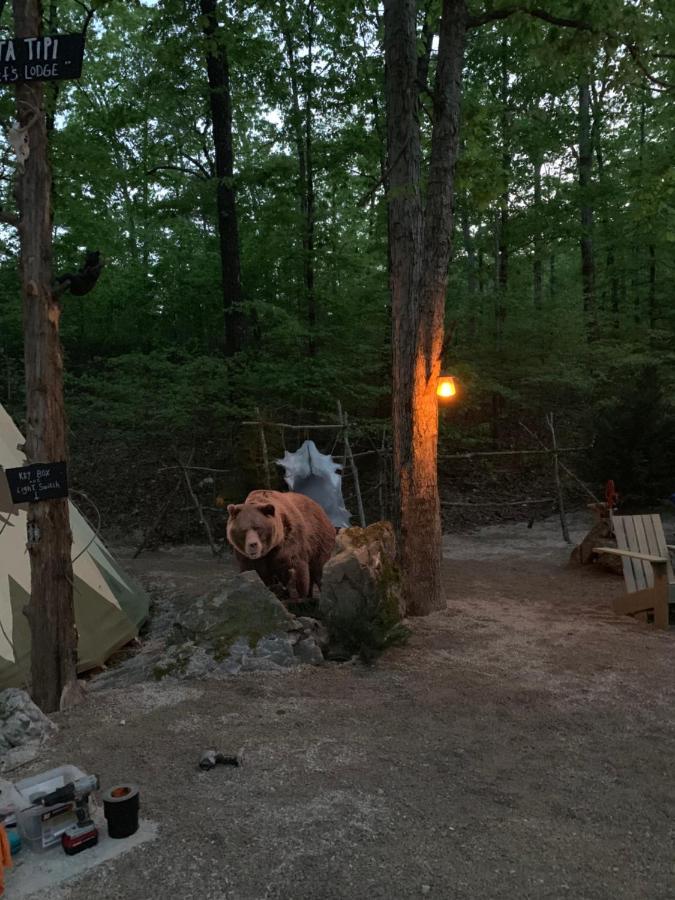 Fox Pass Cabins Bed and Breakfast Χοτ Σπρινγκς Εξωτερικό φωτογραφία