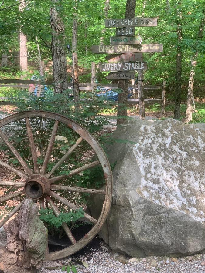 Fox Pass Cabins Bed and Breakfast Χοτ Σπρινγκς Εξωτερικό φωτογραφία