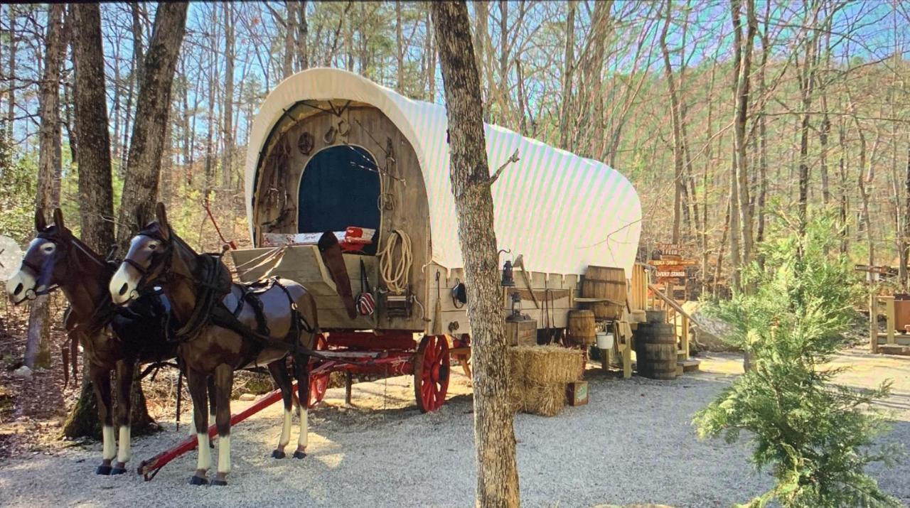 Fox Pass Cabins Bed and Breakfast Χοτ Σπρινγκς Εξωτερικό φωτογραφία