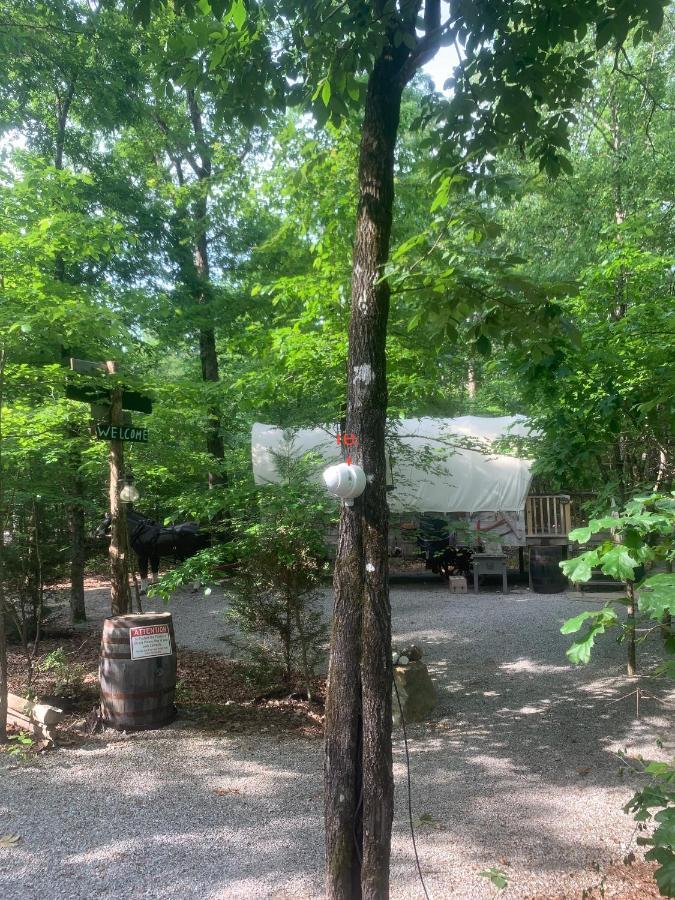 Fox Pass Cabins Bed and Breakfast Χοτ Σπρινγκς Εξωτερικό φωτογραφία