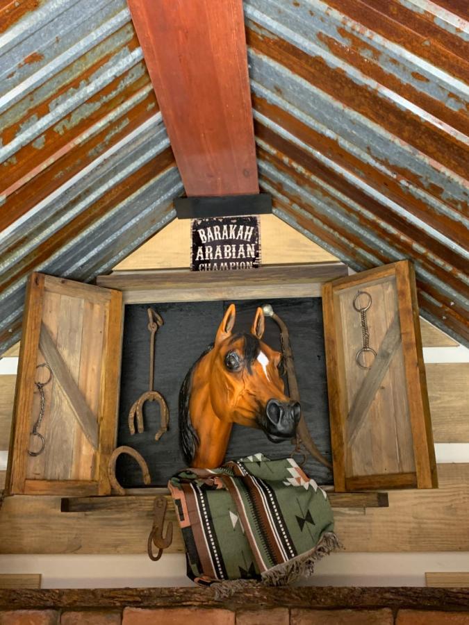 Fox Pass Cabins Bed and Breakfast Χοτ Σπρινγκς Εξωτερικό φωτογραφία