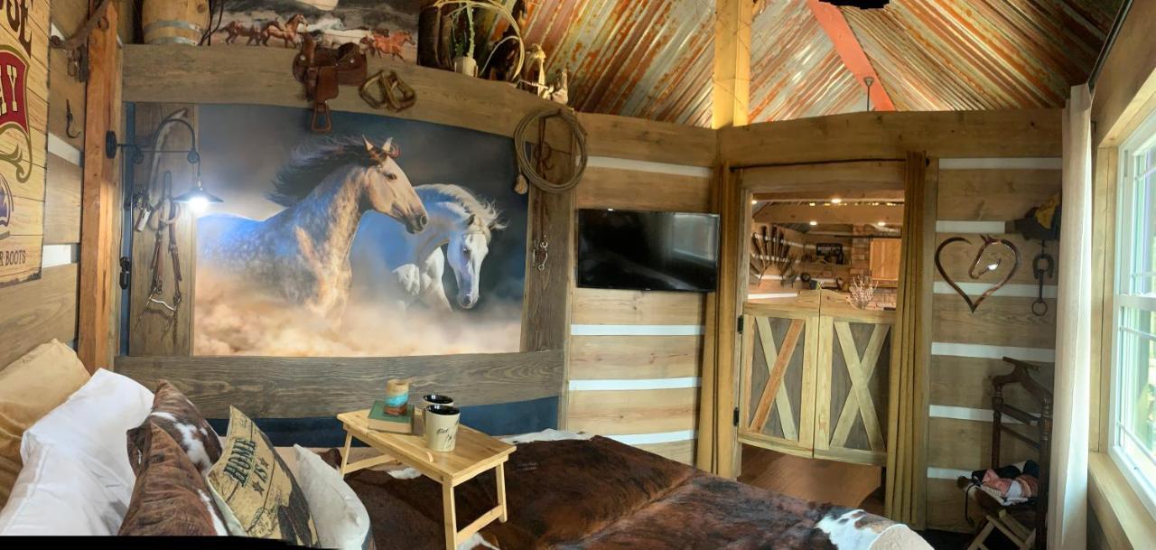 Fox Pass Cabins Bed and Breakfast Χοτ Σπρινγκς Εξωτερικό φωτογραφία