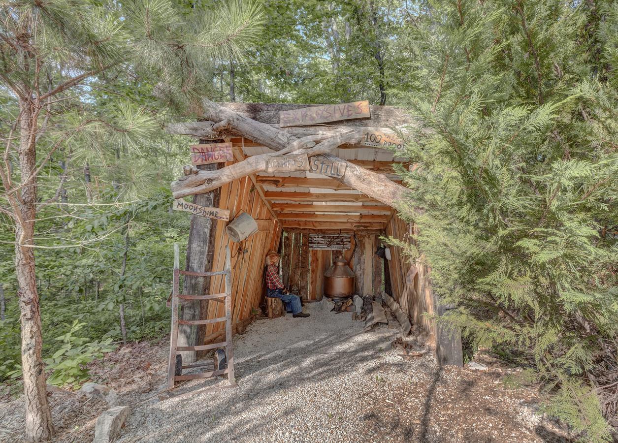 Fox Pass Cabins Bed and Breakfast Χοτ Σπρινγκς Εξωτερικό φωτογραφία